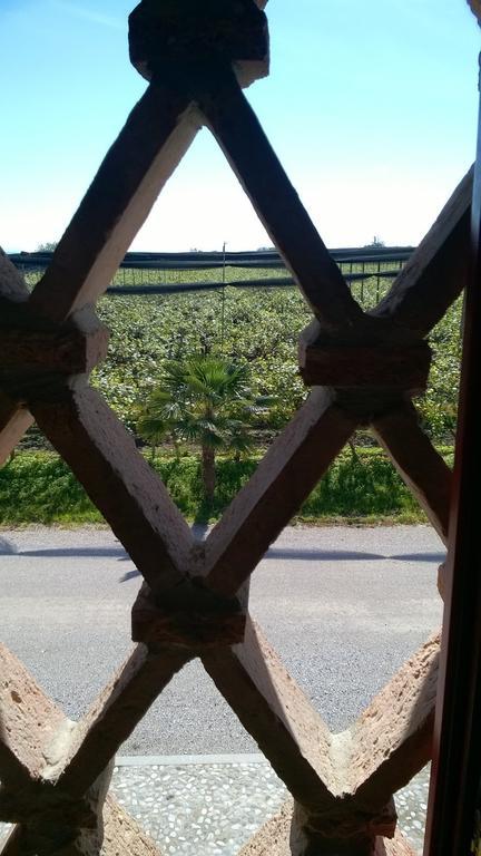 Agriturismo Sant'Egidio Aquiléia Екстериор снимка